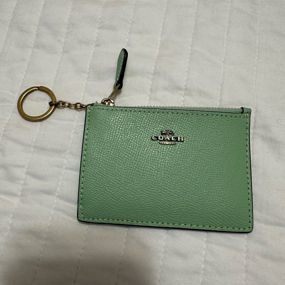 Coach Mini Skinny Zip ID Case in Pale Pistachio Leather